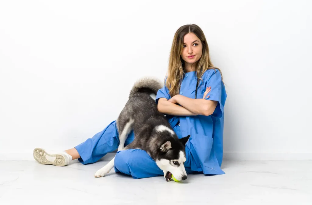 marketing veterinario